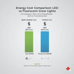 Infographic comparing Hydro-Québec and Ontario energy costs for LED vs. fluorescent seedling grow lights.