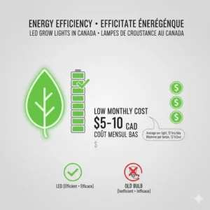 Infographic showing the low monthly cost of running LED grow lights for indoor plants based on average Canadian hydro rates.