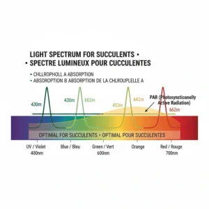 Technical chart showing the optimal PAR light spectrum for succulent photosynthesis and growth in indoor Canadian gardens.
