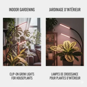 An infographic showing clip on grow lights for houseplants with text in English and French (lampes de croissance pour plantes d'intérieur).