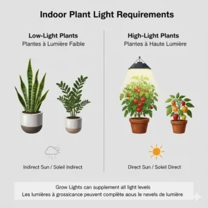 A guide showing different light intensity needs for various indoor plants common in Canadian homes.