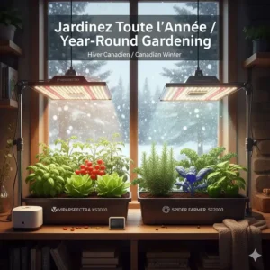 Using Spider Farmer and VIPARSPECTRA LED lights for year-round indoor gardening during Canadian winters.