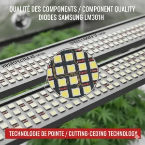 Close-up of Samsung LM301H diodes used in VIPARSPECTRA and Spider Farmer high-efficacy lighting fixtures.