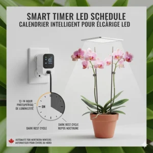 Illustration of a smart plug timer set to a 12-hour photoperiod for orchids during dark Northern winters.