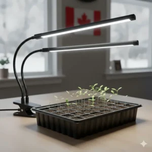 Vegetable seedlings in a peat tray being prepared for a Canadian spring garden under bright white clip on grow lights for houseplants.