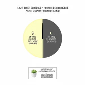 A visual 14-hour lighting schedule for Canadian succulent owners to mimic natural sun and prevent leggy growth.