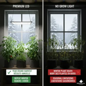 A bilingual English and French comparison chart detailing the benefits of premium LED grow lights versus low-quality alternatives. It highlights maximum yield, energy efficiency, and long lifespan as key reasons why investing in quality lighting is worth it for Canadian growers.