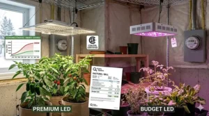 A high-detail photorealistic illustration comparing energy efficiency in a Canadian basement. A premium LED grow light setup, next to a Hydro-Québec meter and bill, shows significantly lower monthly hydro costs than a generic budget 'blurple' light, demonstrating long-term savings.