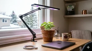 An indoor basil garden setup under LED grow lights to compensate for limited Canadian winter sunlight.