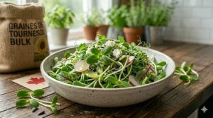 Fresh sunflower microgreens used in a healthy Canadian salad recipe.