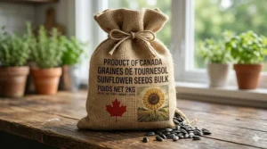 Close-up of organic sunflower microgreens seeds bulk packaging for Canadian growers.