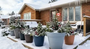 Large frost-resistant plastic planter for Canadian gardens.