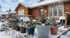 Modern minimalist plastic planter built for Canadian climate.