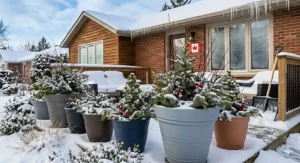 Winter-proof plastic planter sitting on a snowy Canadian porch.