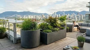 Industrial concrete extra large outdoor planters on a cedar deck.