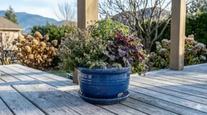 A durable ceramic planter remaining outdoors during early autumn frost.