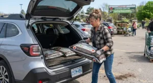 Home gardener loading bags of compost for gardens into the trunk of a car for a backyard landscaping project.