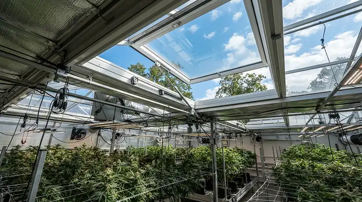 Automatic roof vent opening on a 10x12 greenhouse for serious gardeners to regulate temperature and humidity.